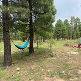 Review photo of Fr 171 Campground by Garrett P., March 18, 2022