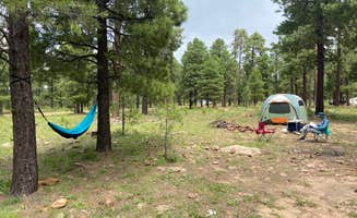 Garrett P.'s photo at Fr 171 Campground near Young, AZ