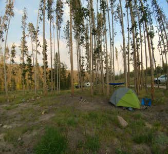 Camper-submitted photo from Bridger Campground