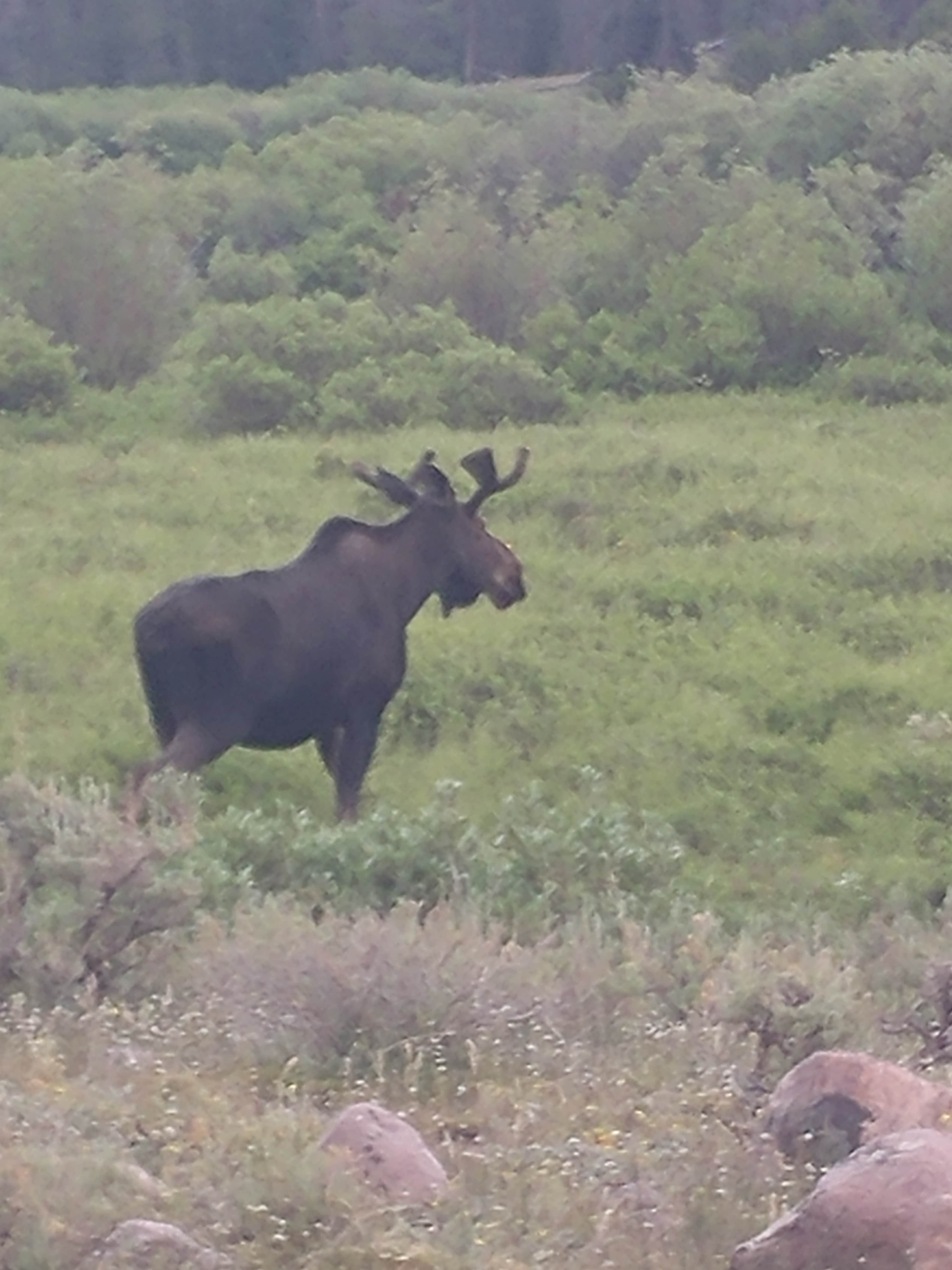 Camper-submitted photo at Bridger Campground near Howell, UT