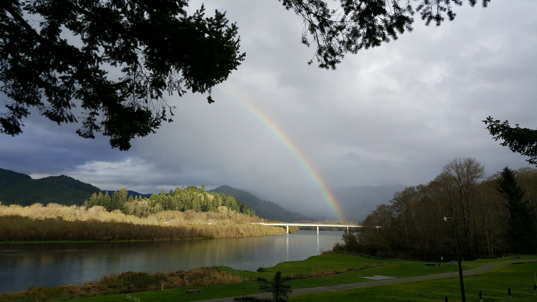 Camper submitted image from Klamath River RV Park - 1