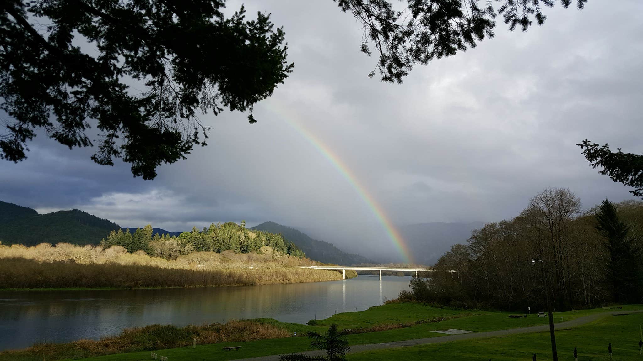 Camper submitted image from Klamath River RV Park - 2