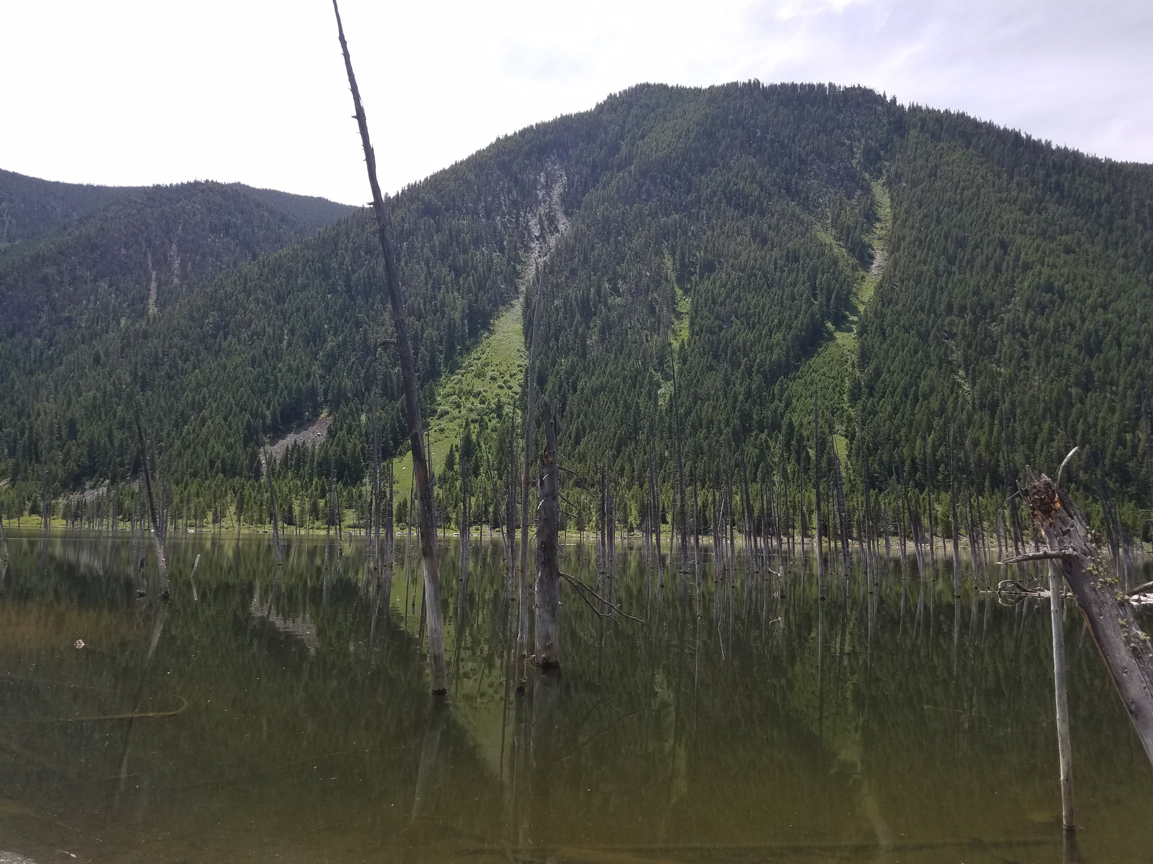 Earthquake Lake from the trail head along Loop A