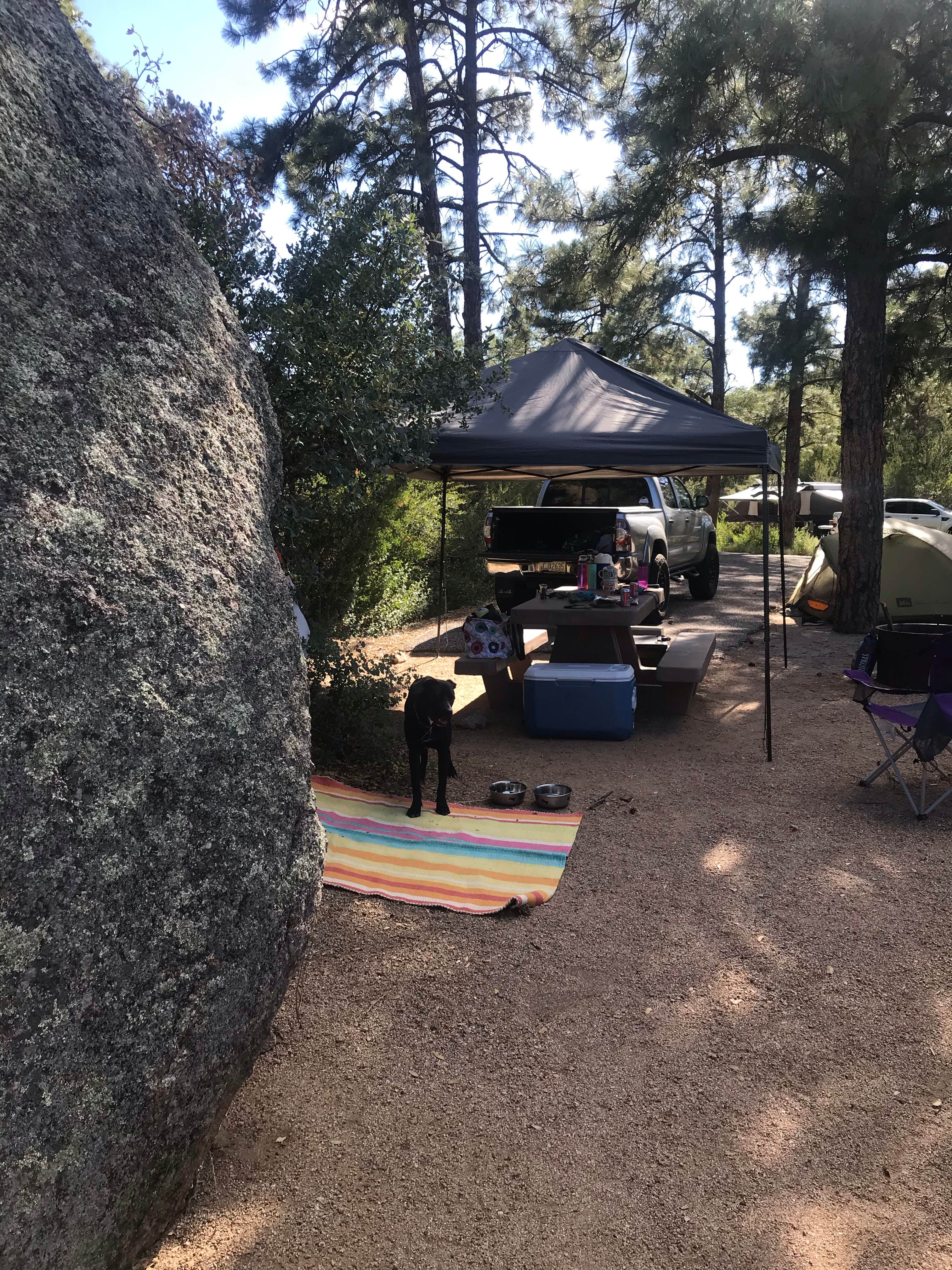 Kaela T.'s photo at Yavapai Campground near Prescott, AZ
