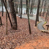 Review photo of Shady Grove Campground by Ingrid A., March 19, 2022