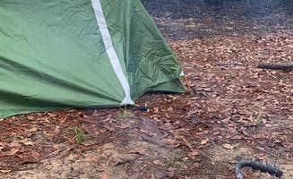 lydia B.'s photo at Krul Lake near Wing, AL