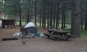 Camping near Upper Rush Creek Campground: Willow Creek Campground, Likely, Oregon