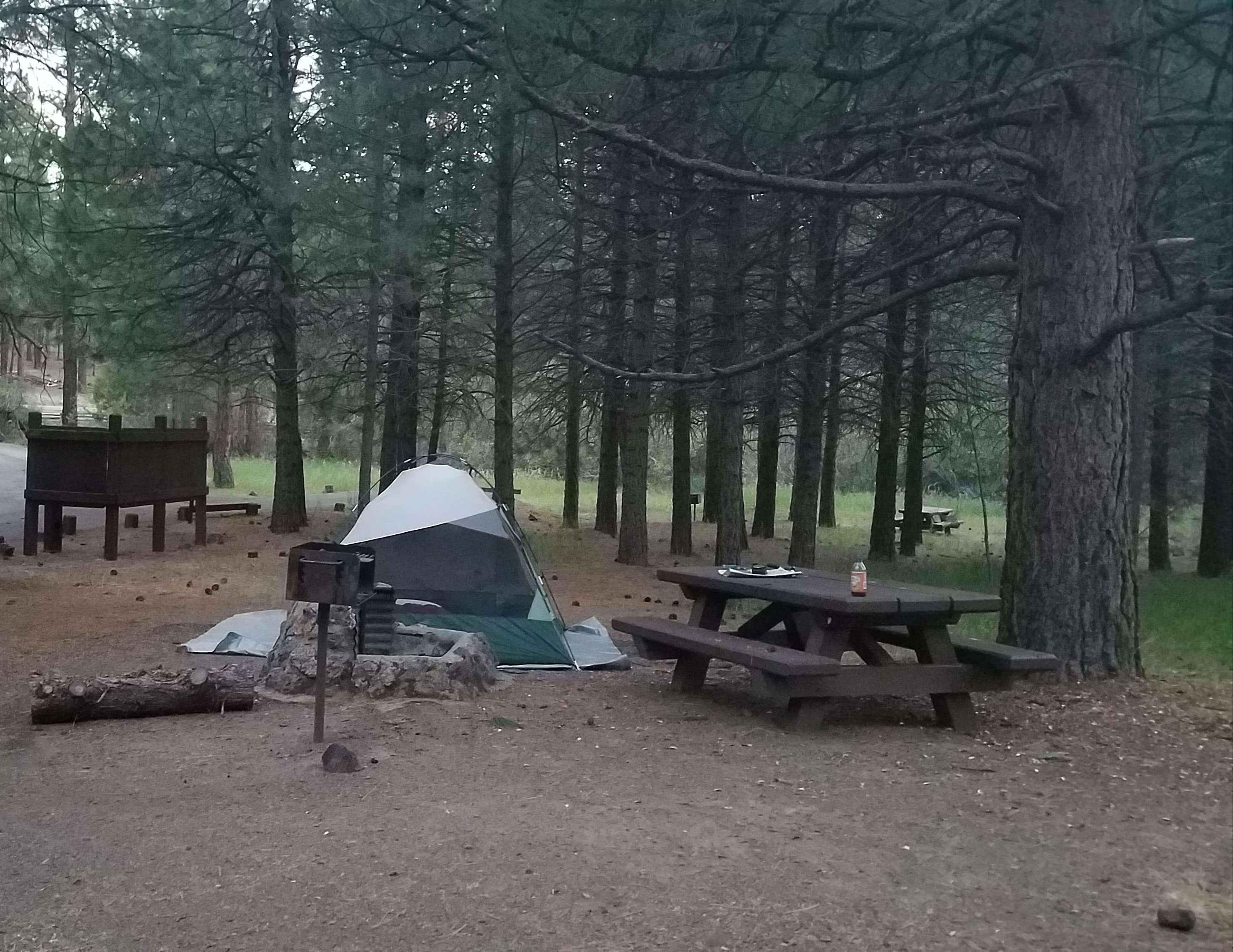 Camper submitted image from Willow Creek Campground - 1