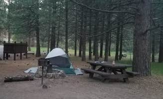 Liesl K.'s photo at Willow Creek Campground near Likely, CA