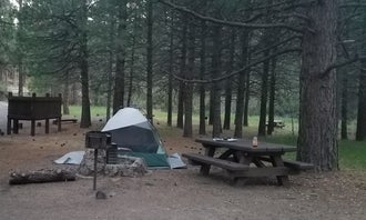 Camping near Howards Gulch Campground: Willow Creek Campground, Likely, Oregon