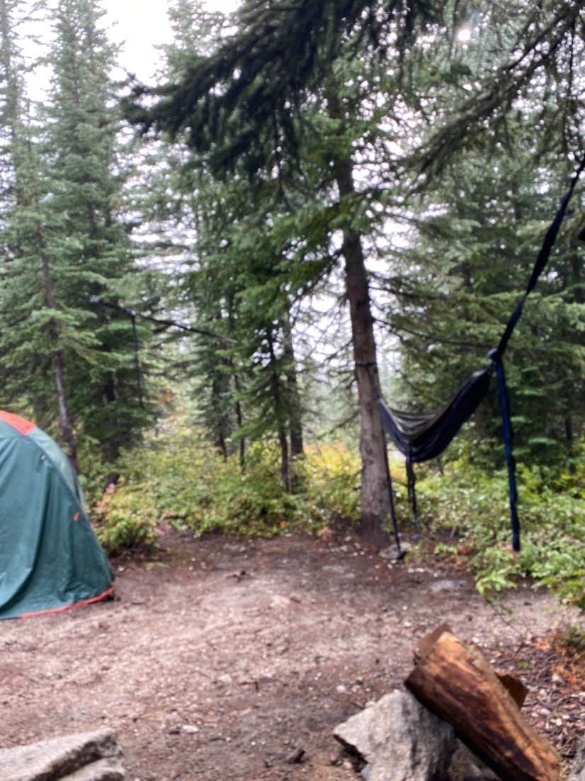 Shylean B.'s photo of tent camping at Roman Nose near Sandpoint, ID