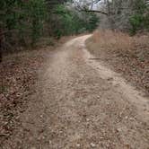 Review photo of Birch Creek Unit — Lake Somerville State Park by Evan V., March 19, 2022