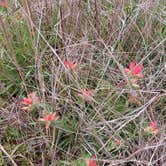 Review photo of Birch Creek Unit — Lake Somerville State Park by Evan V., March 19, 2022