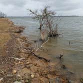 Review photo of Birch Creek Unit — Lake Somerville State Park by Evan V., March 19, 2022