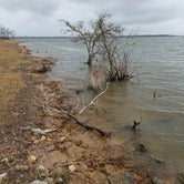 Review photo of Birch Creek Unit — Lake Somerville State Park by Evan V., March 19, 2022