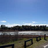 Review photo of Mike Roess Gold Head Branch State Park Campground & Cabins by Lorilee S., March 19, 2022