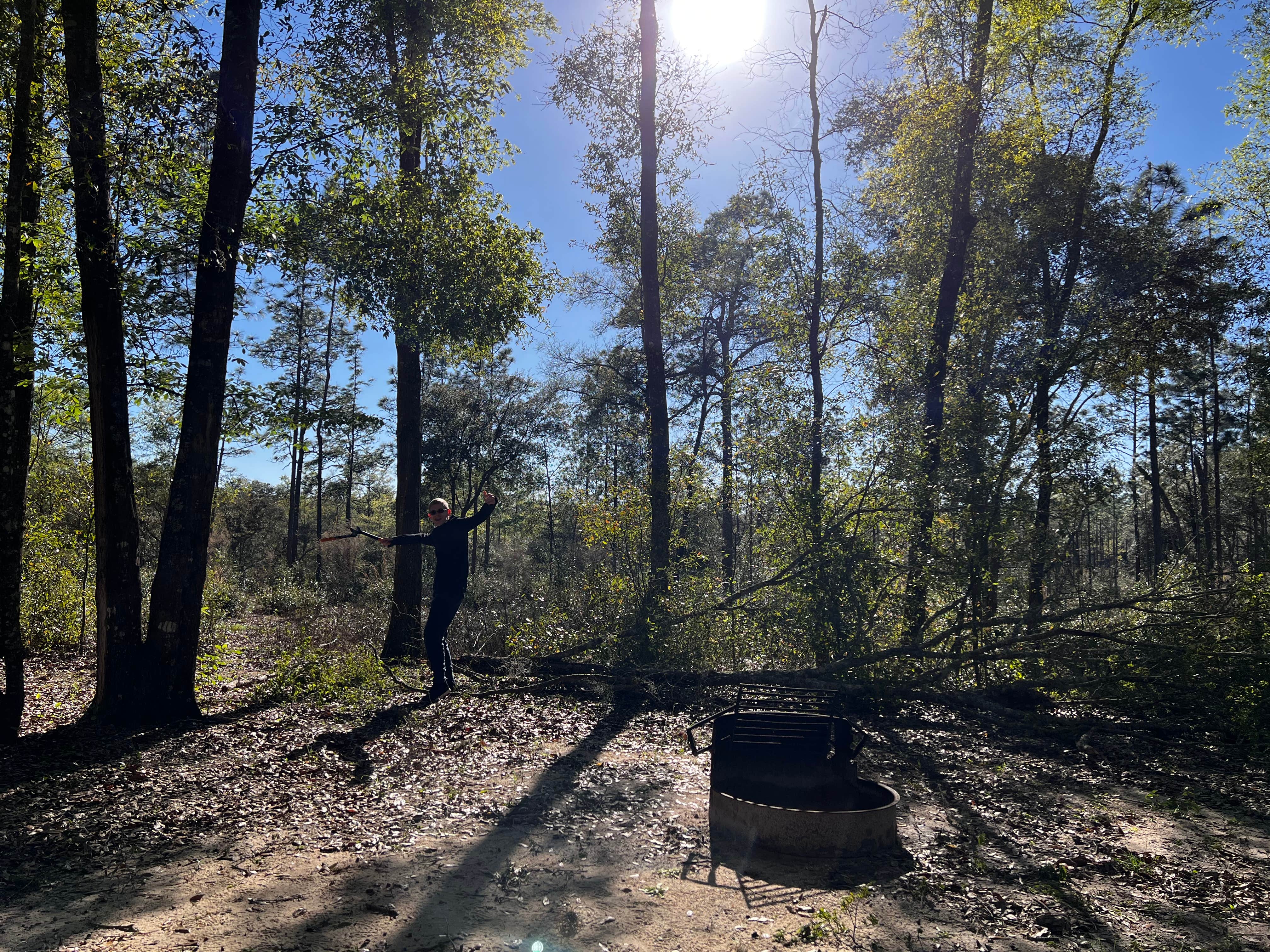 Lorilee S.'s photo at Mike Roess Gold Head Branch State Park Campground & Cabins near Keystone Heights, FL
