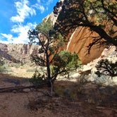 Review photo of Capitol Reef National Park Dispersed Camping by Andrew A., July 11, 2018