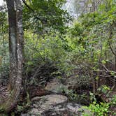 Review photo of Mike Roess Gold Head Branch State Park Campground & Cabins by Lorilee S., March 19, 2022