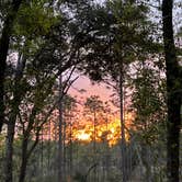 Review photo of Mike Roess Gold Head Branch State Park Campground & Cabins by Lorilee S., March 19, 2022