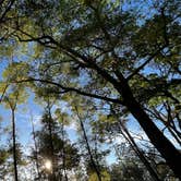 Review photo of Mike Roess Gold Head Branch State Park Campground & Cabins by Lorilee S., March 19, 2022