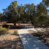 Review photo of Coral Pink Sand Dunes State Park Campground by Gretchen P., March 20, 2022