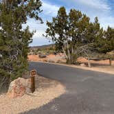 Review photo of Coral Pink Sand Dunes State Park Campground by Gretchen P., March 20, 2022