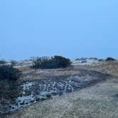 Review photo of Oceanside Assateague Campground — Assateague Island National Seashore by Justin C., March 20, 2022