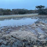 Review photo of Oceanside Assateague Campground — Assateague Island National Seashore by Justin C., March 20, 2022