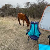 Review photo of Oceanside Assateague Campground — Assateague Island National Seashore by Justin C., March 20, 2022