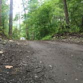 Review photo of Greenbrier Campground by Lay-c N., July 2, 2018