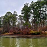 Review photo of Huntsville State Park Campground by Ron V., March 20, 2022