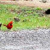 Review photo of Stephen Austin State Park by Ron V., March 20, 2022