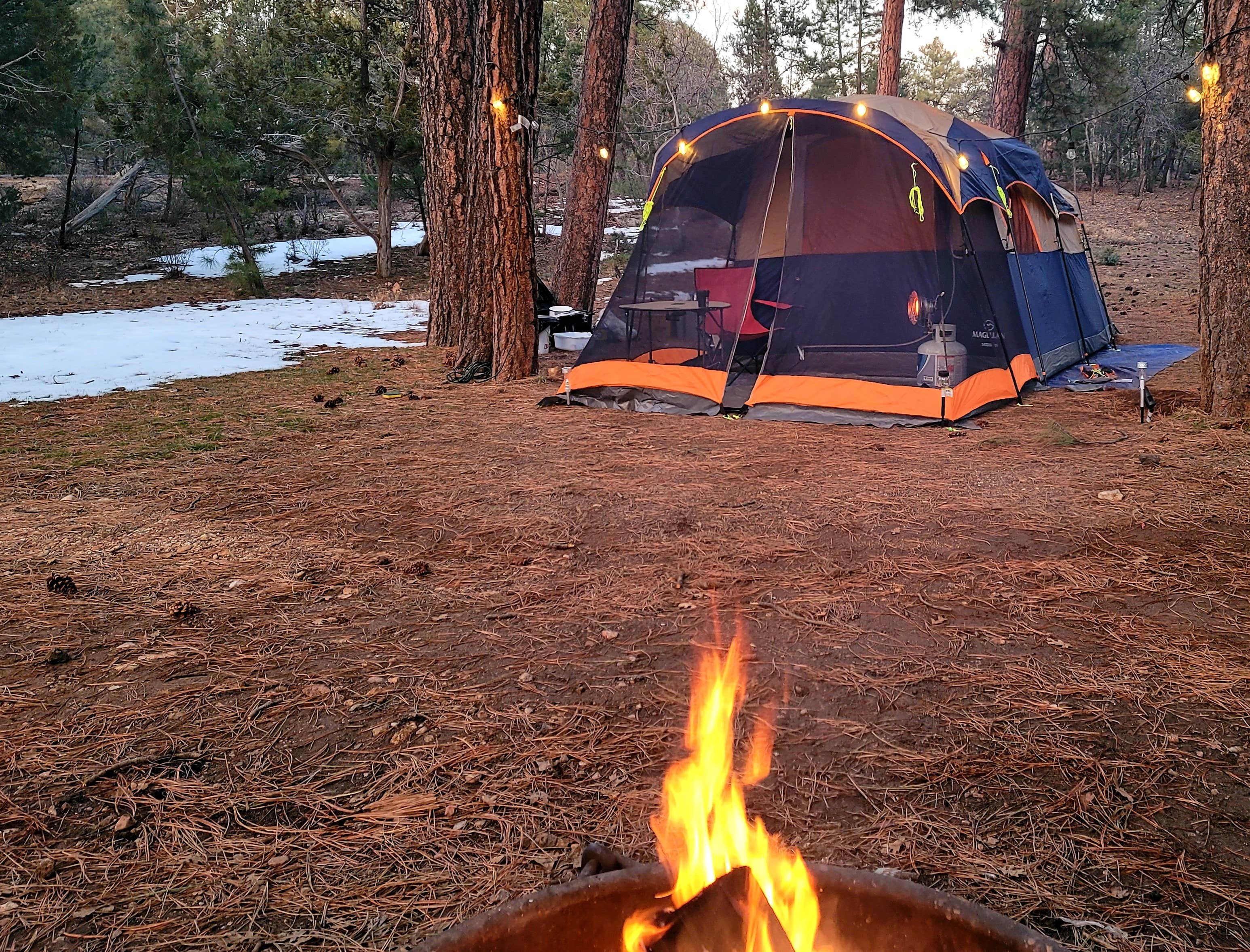 Ron V.'s photo at Mather Campground — Grand Canyon National Park near Supai, AZ