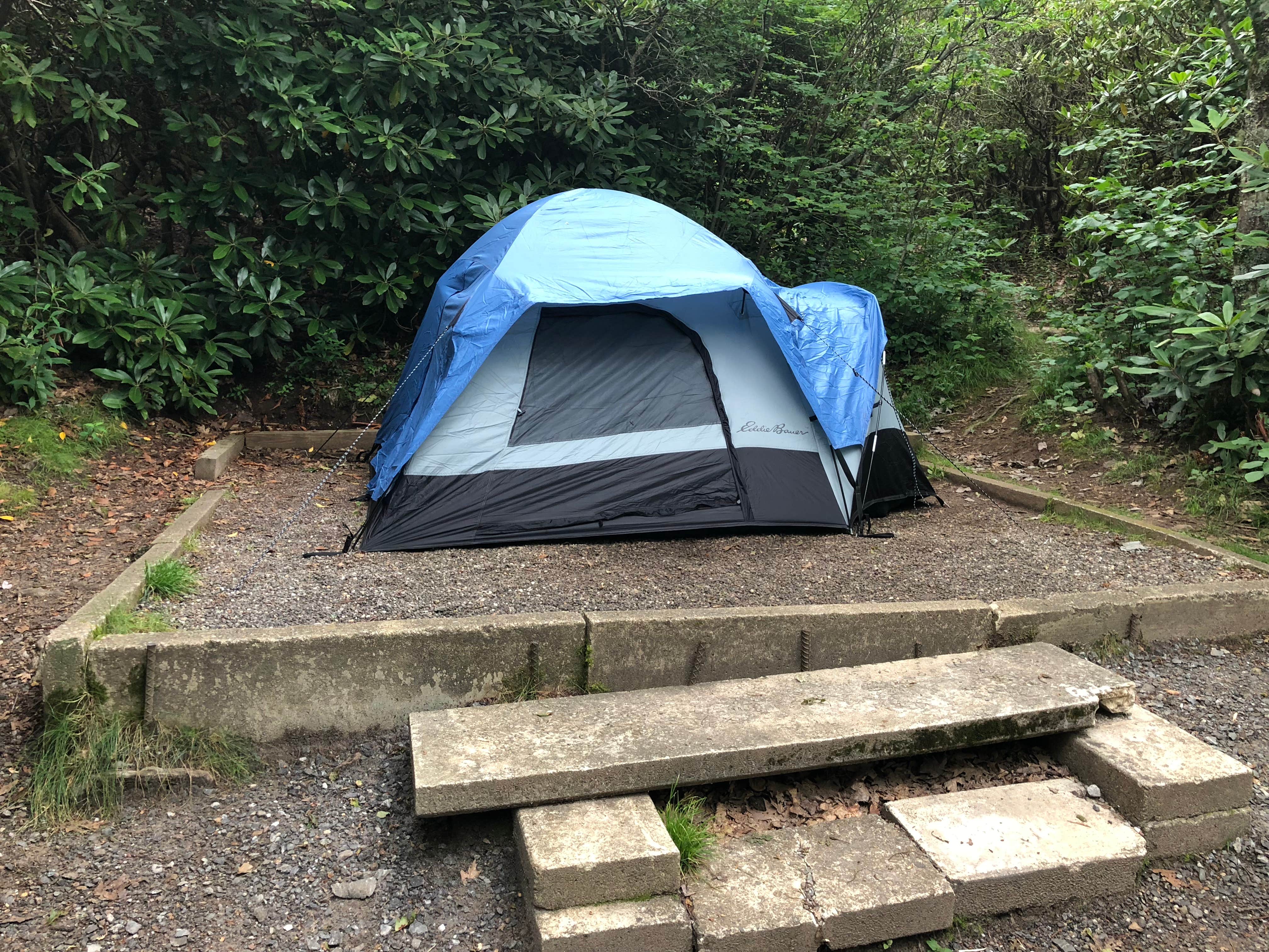 Laura M.'s photo at Mount Pisgah Campground near Candler, NC