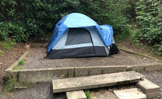 Laura M.'s photo at Mount Pisgah Campground near Candler, NC