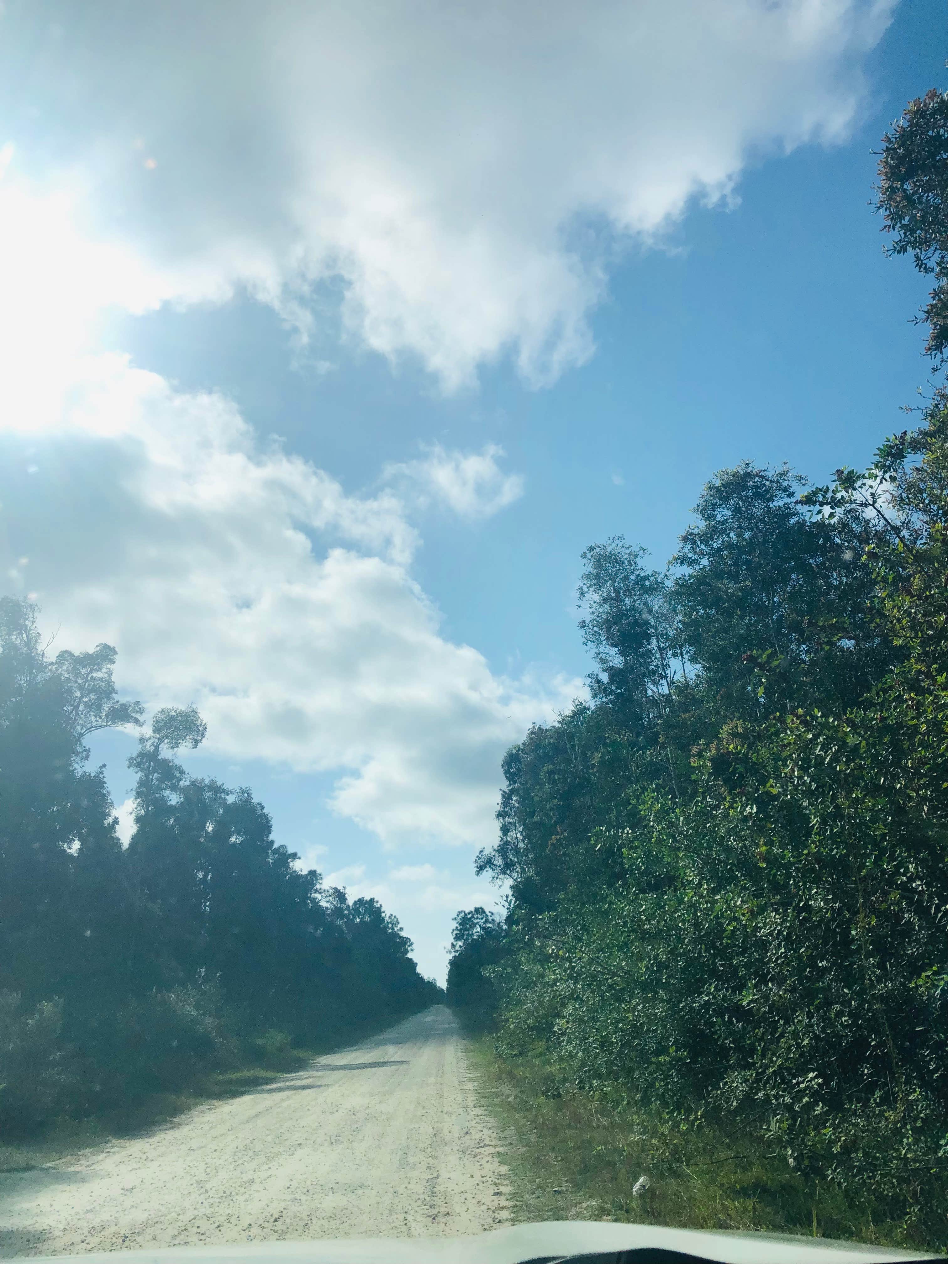 Camping near The Waves RV Resort: Pollination Farms, Naples, Florida