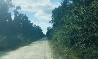 Camping near Collier–Seminole State Park Campground: Pollination Farms, Naples, Florida