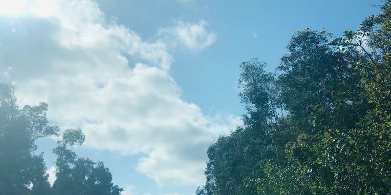 Camper submitted image from Pollination Farms