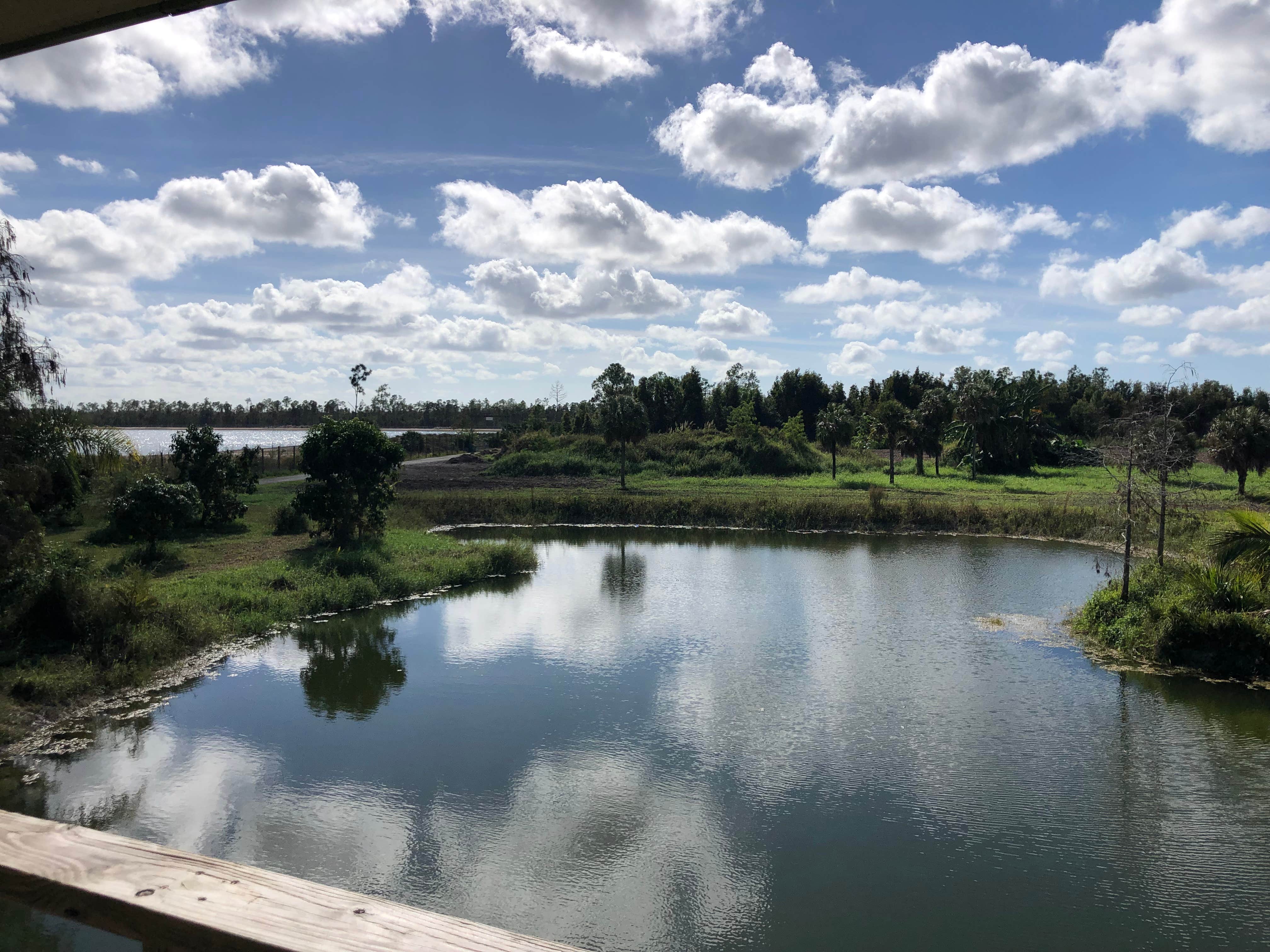 Camper-submitted photo at Pollination Farms near Goodland, FL