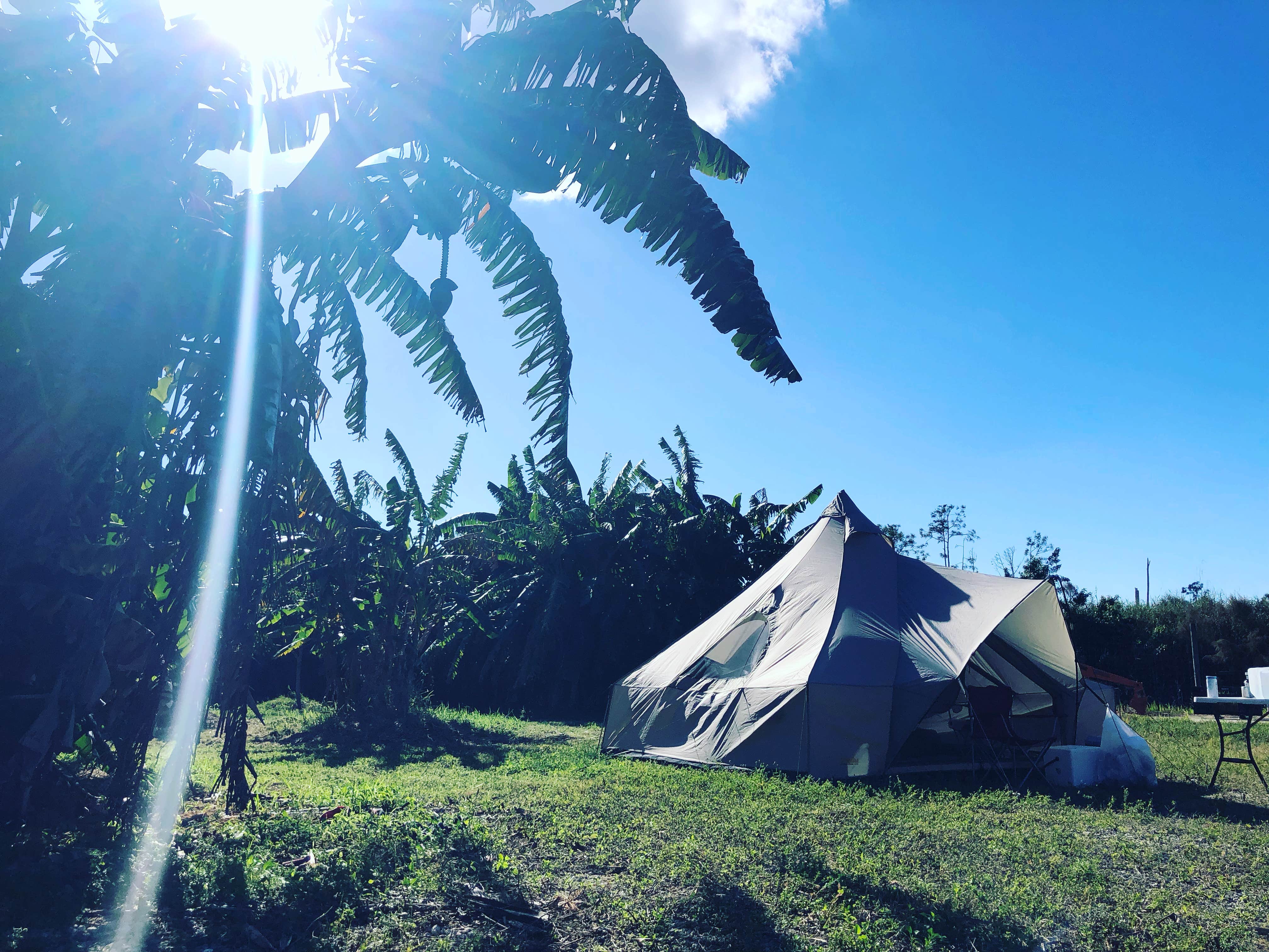Camper-submitted photo at Pollination Farms near Goodland, FL