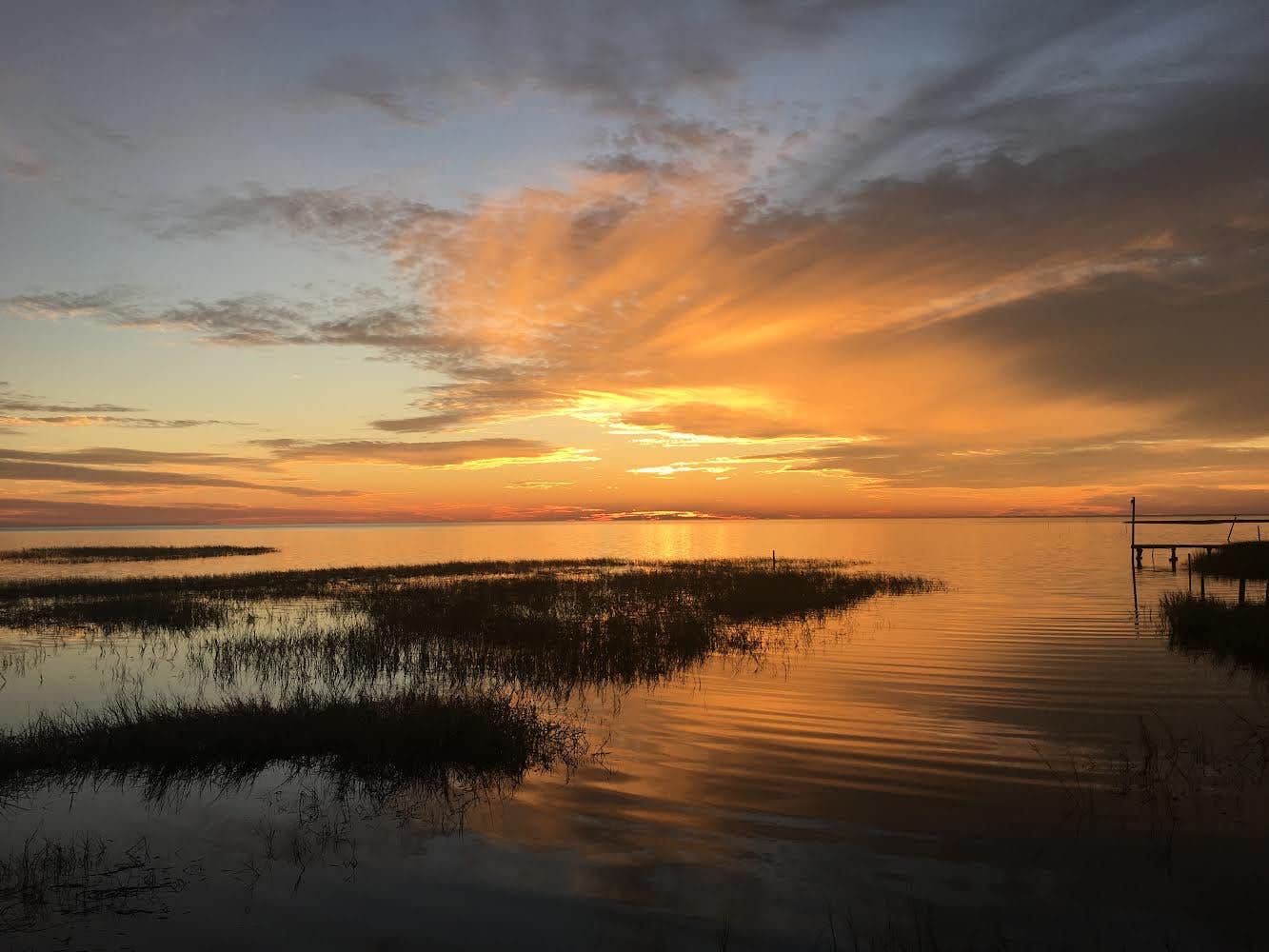 Camper-submitted photo at Camp Runamuck near Steinhatchee, FL
