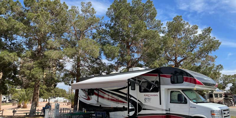 Camper submitted image from Oasis Las Vegas RV Resort