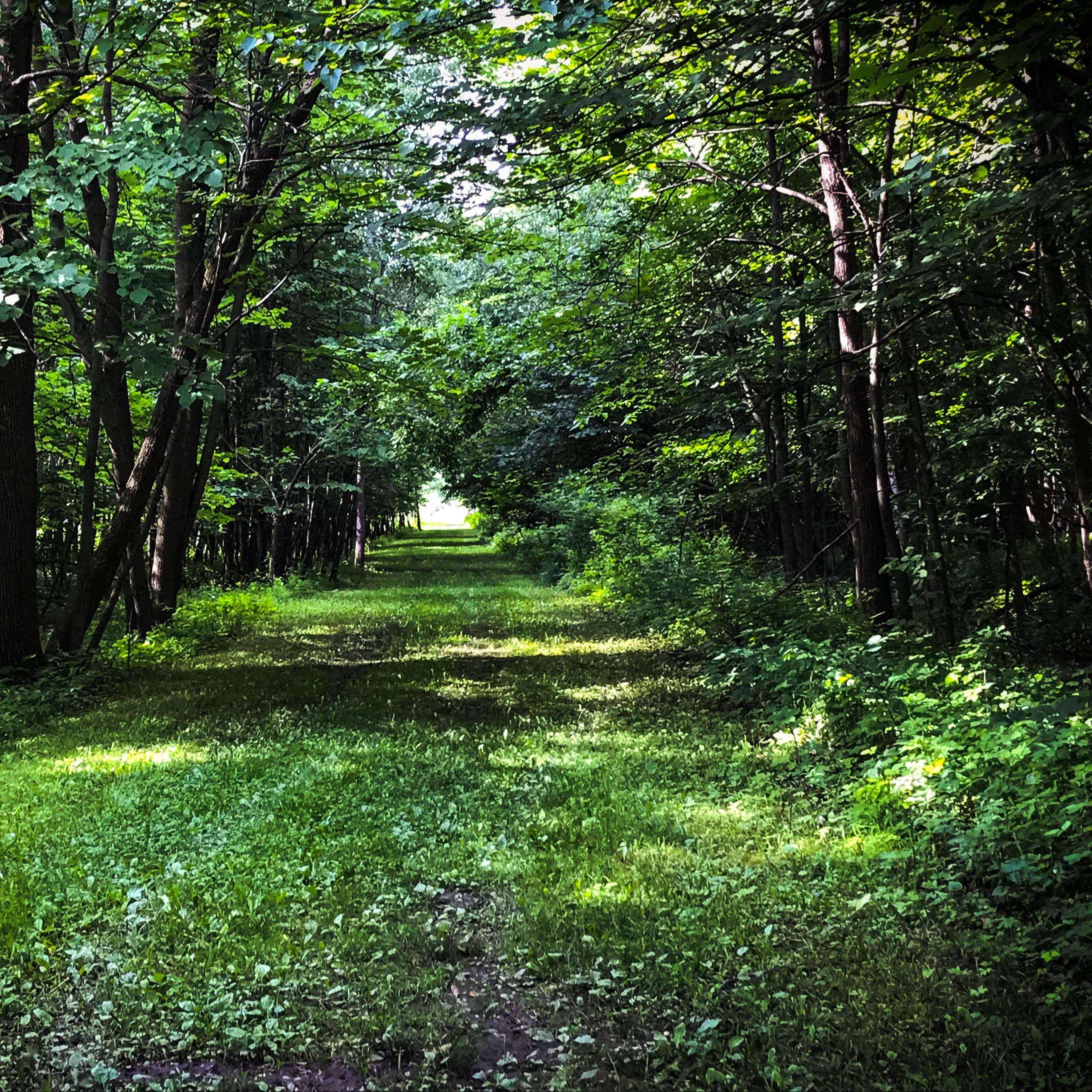 Rice Lake State Park Camping | The Dyrt