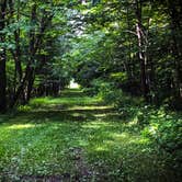 Review photo of Rice Lake Campground — Rice Lake State Park by Rocky B., July 11, 2018