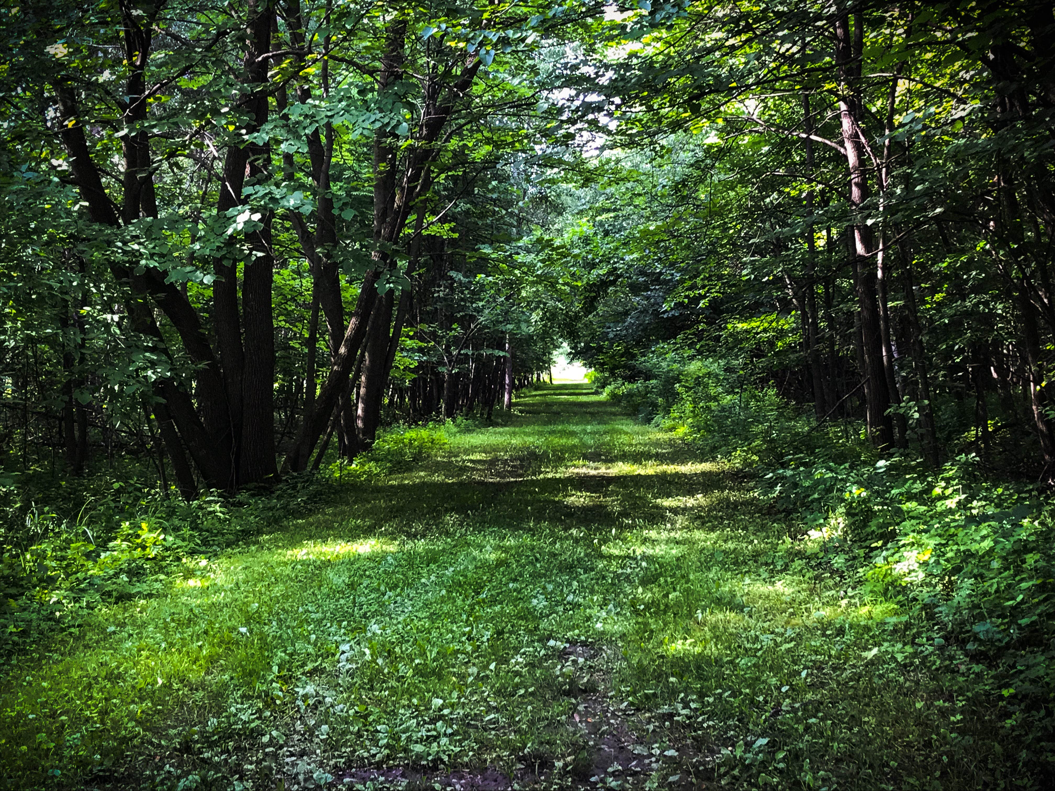 Camper submitted image from Rice Lake Campground — Rice Lake State Park - 3