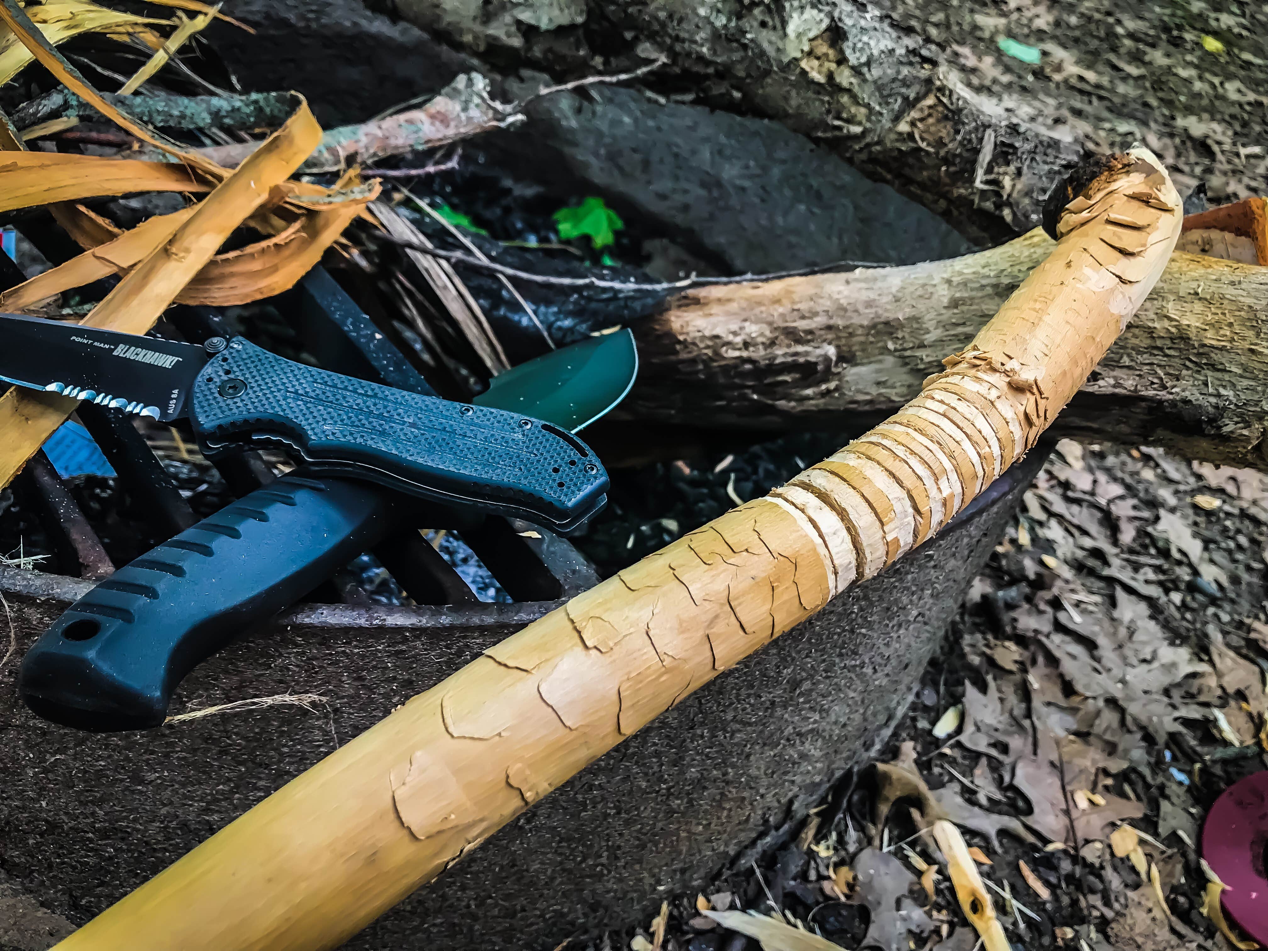 Camper-submitted photo at Rice Lake Campground — Rice Lake State Park near Plainview, MN