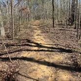 Review photo of Providence Canyon State Park Campground by david  M., March 21, 2022