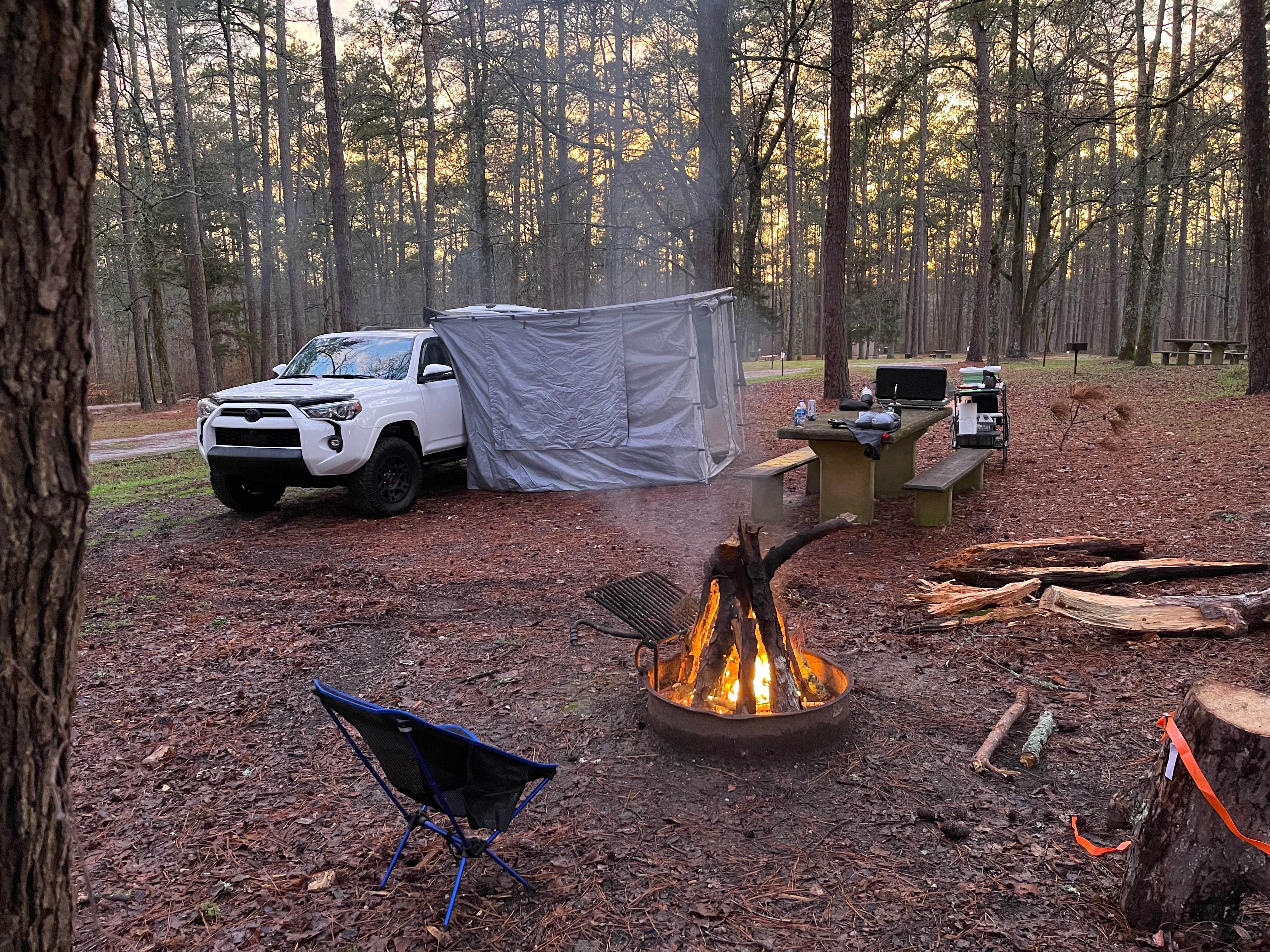 Tori B.'s photo at Brick House Campground (Sc) — Francis Marion And Sumter National Forests near Greenwood, SC