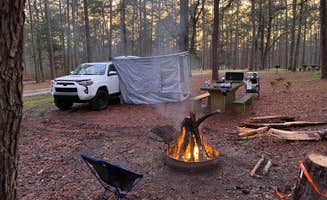 Tori B.'s photo at Brick House Campground (Sc) — Francis Marion And Sumter National Forests near Cross Anchor, SC